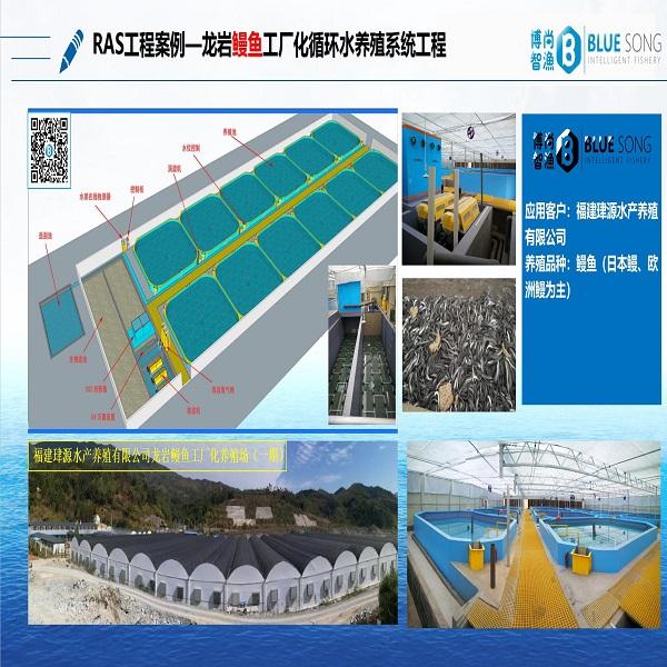 工廠化鰻魚RAS系統工程